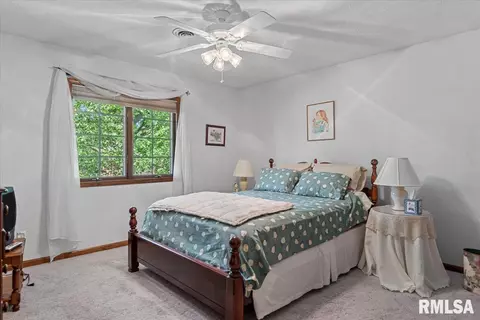 828 Coventry Pt, Springfield, IL 62702 photo 26