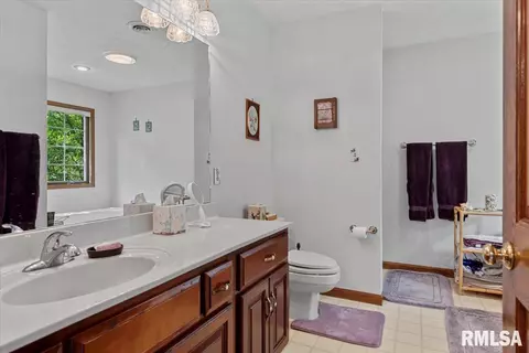 828 Coventry Pt, Springfield, IL 62702 photo 23