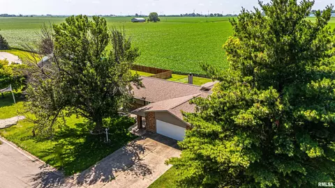 5 Lamplighter Cir, Mount Pulaski, IL 62548 photo 3