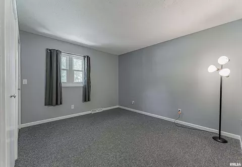 5 Lamplighter Cir, Mount Pulaski, IL 62548 photo 20