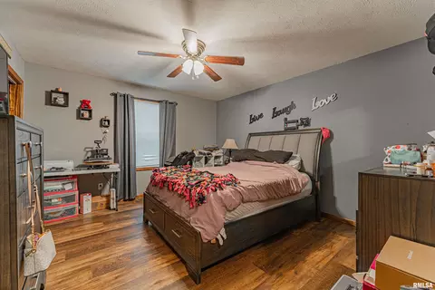 716 S Kickapoo St, Lincoln, IL 62656 photo 7