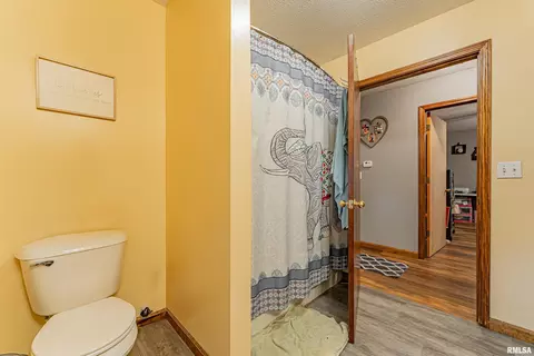 716 S Kickapoo St, Lincoln, IL 62656 photo 14