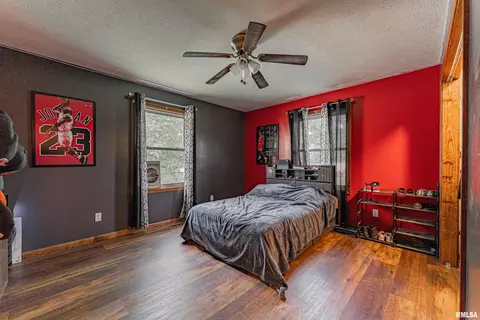 716 S Kickapoo St, Lincoln, IL 62656 photo 9