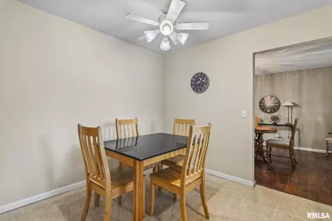 244 N Columbia Ave, Springfield, IL 62702 photo 11