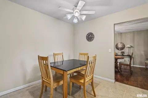 244 N Columbia Ave, Springfield, IL 62702 photo 12
