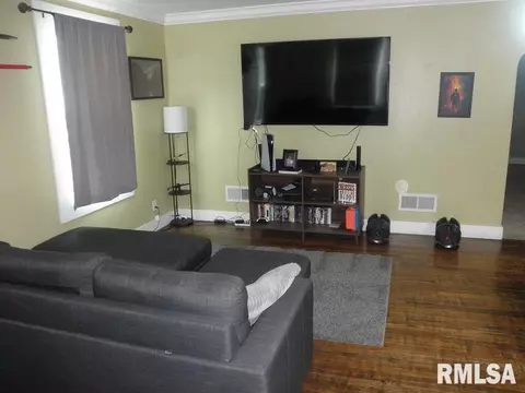 316 N Amos Ave, Springfield, IL 62702 photo 3