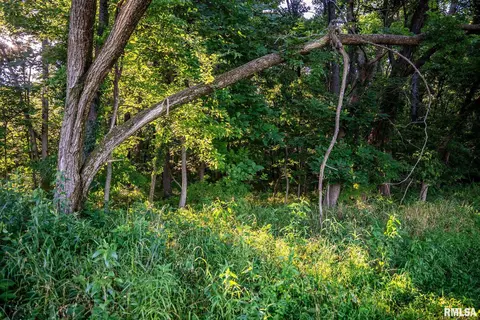 Other - 623 Jasper Rd, Centralia, IL 62801 photo 26 of 31