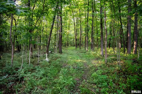 Other - 623 Jasper Rd, Centralia, IL 62801 photo 29 of 31