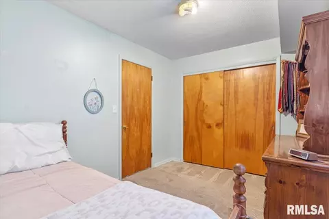 900 Roanoke Dr, Springfield, IL 62702 photo 23