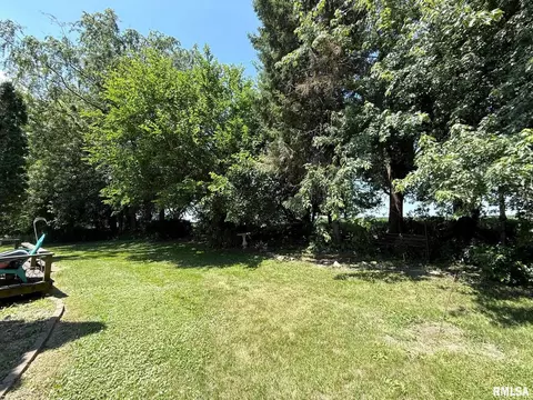 Exterior - 573 Matthews Ct, Oneida, IL 61467 photo 6 of 9