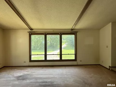 Living - 573 Matthews Ct, Oneida, IL 61467 photo 5 of 7