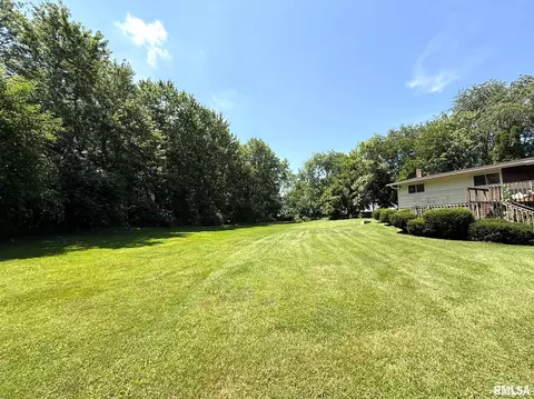 Exterior - 573 Matthews Ct, Oneida, IL 61467 photo 4 of 9