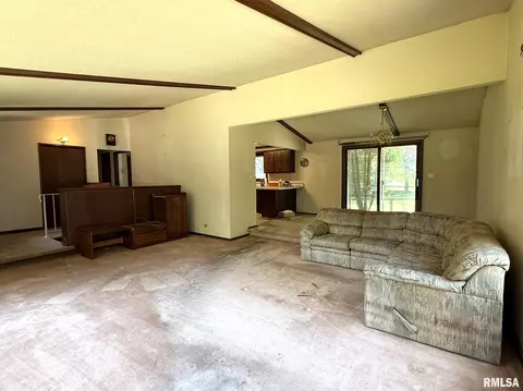 Living - 573 Matthews Ct, Oneida, IL 61467 photo 3 of 7