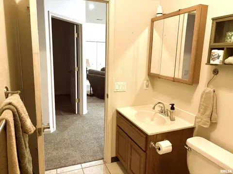 4317 Harvard Dr, Springfield, IL 62712 photo 36