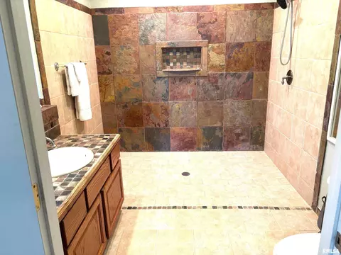 4317 Harvard Dr, Springfield, IL 62712 photo 28