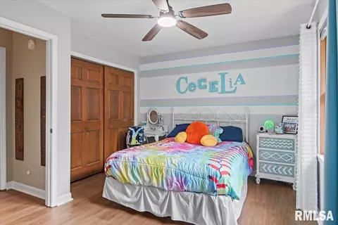 508 Tecumseh Trl, Springfield, IL 62711 photo 29