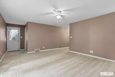 913 Diane Ct, Springfield, IL 62702 photo 22