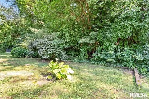 1009 Rickard Ct, Springfield, IL 62704 photo 25