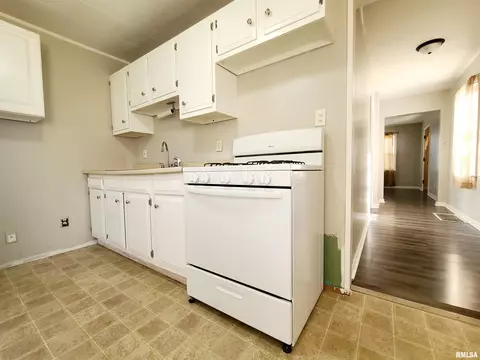 1113 N Rutledge St, Springfield, IL 62702 photo 6