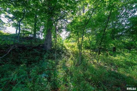Exterior - 23490 E Maple Rd, Bluford, IL 62814 photo 12 of 18