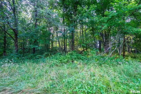 Other - 23490 E Maple Rd, Bluford, IL 62814 photo 40 of 44