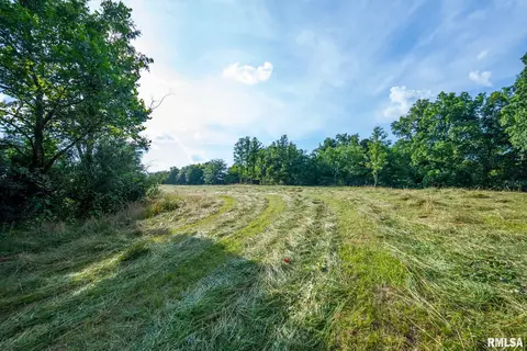 Exterior - 23490 E Maple Rd, Bluford, IL 62814 photo 10 of 18