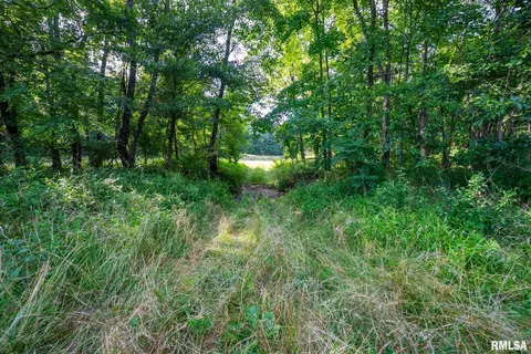 Other - 23490 E Maple Rd, Bluford, IL 62814 photo 34 of 44