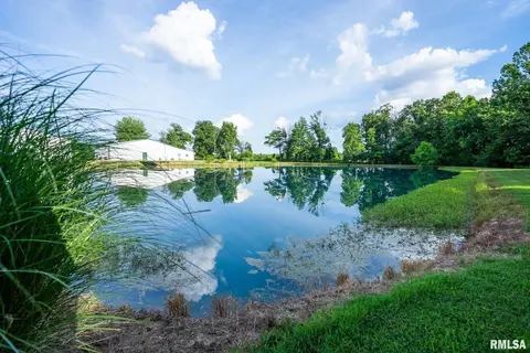 View/Area - 23490 E Maple Rd, Bluford, IL 62814 photo 9 of 14