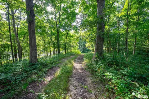 Other - 23490 E Maple Rd, Bluford, IL 62814 photo 32 of 44