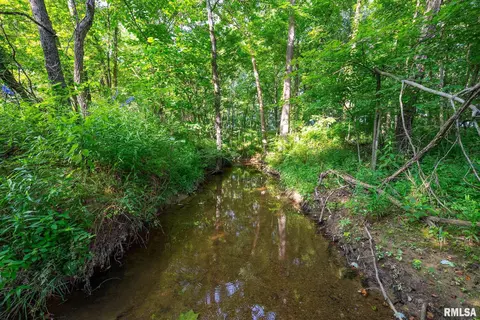 Other - 23490 E Maple Rd, Bluford, IL 62814 photo 35 of 44