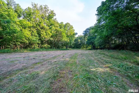 Other - 23490 E Maple Rd, Bluford, IL 62814 photo 41 of 44