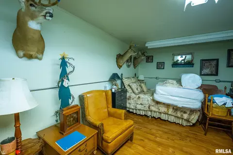 Bedroom - 23490 E Maple Rd, Bluford, IL 62814 photo 5 of 5