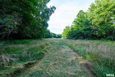 Other - 23490 E Maple Rd, Bluford, IL 62814 photo 39 of 44