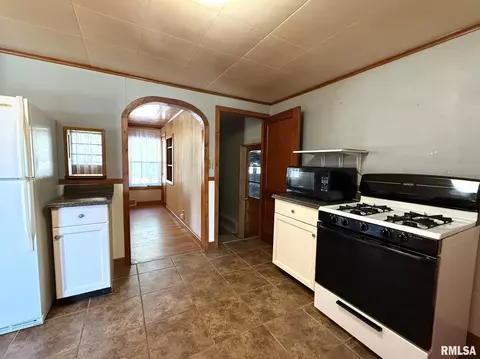 312 N Yates St, Alpha, IL 61413 photo 21