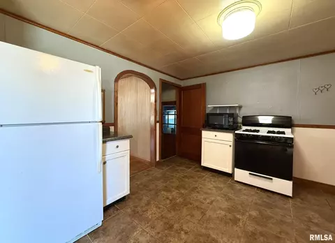 312 N Yates St, Alpha, IL 61413 photo 20