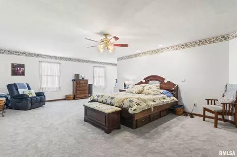 816 E Spruce St, Chatham, IL 62629 photo 20