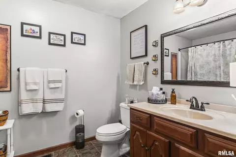 816 E Spruce St, Chatham, IL 62629 photo 31