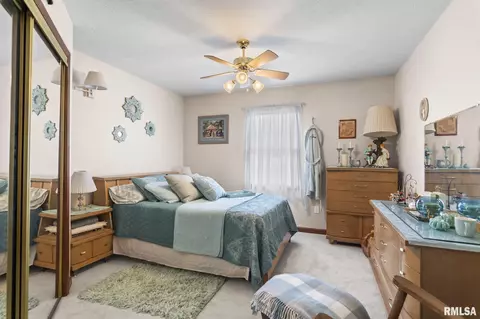 816 E Spruce St, Chatham, IL 62629 photo 29