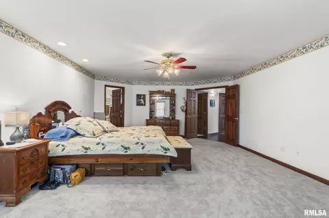 816 E Spruce St, Chatham, IL 62629 photo 21