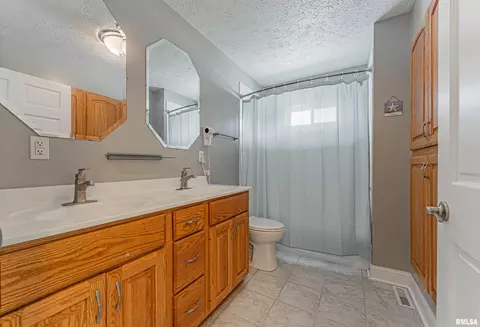 429 S Kickapoo St, Lincoln, IL 62656 photo 41