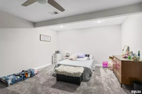 608 Tecumseh Trl, Springfield, IL 62711 photo 36