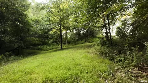 6188 E Howard Rd, Smithfield, IL 61477 photo 2