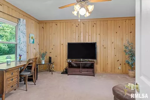 2913 S Park Ave, Springfield, IL 62704 photo 15