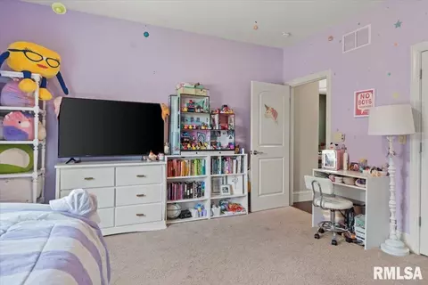 Other - 4609 Lynhurst Rd, Springfield, IL 62711 photo 13 of 27