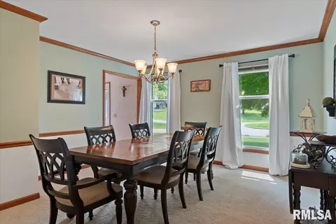 4 Red Bud Run, Sherman, IL 62684 photo 29