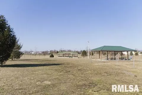 Other - 415 E Spruce St, Chatham, IL 62629 photo 10 of 10