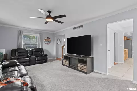 3113 Geneva Ln, Springfield, IL 62707 photo 8
