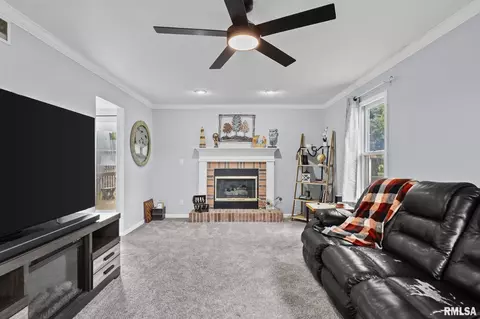 3113 Geneva Ln, Springfield, IL 62707 photo 7