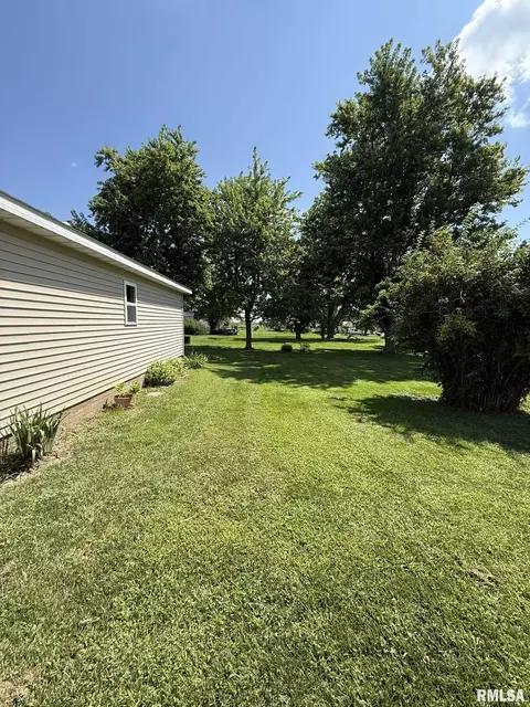 Exterior - 124 S Joy St, Oneida, IL 61467 photo 12 of 13