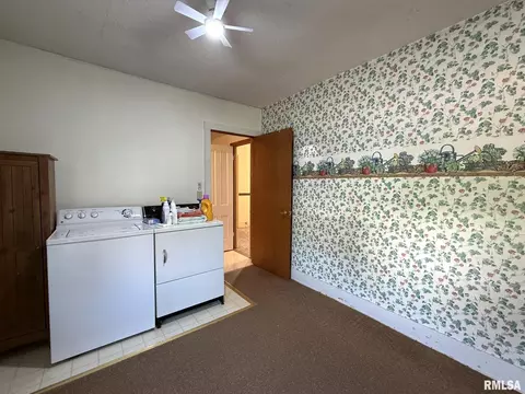 Other - 124 S Joy St, Oneida, IL 61467 photo 13 of 18